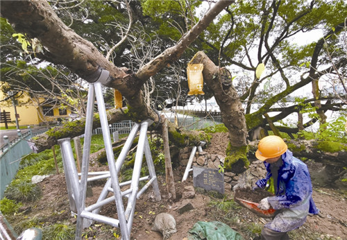 说明: //news.66wz.com/pic/003/005/948/00300594896_bb86c45d.jpg